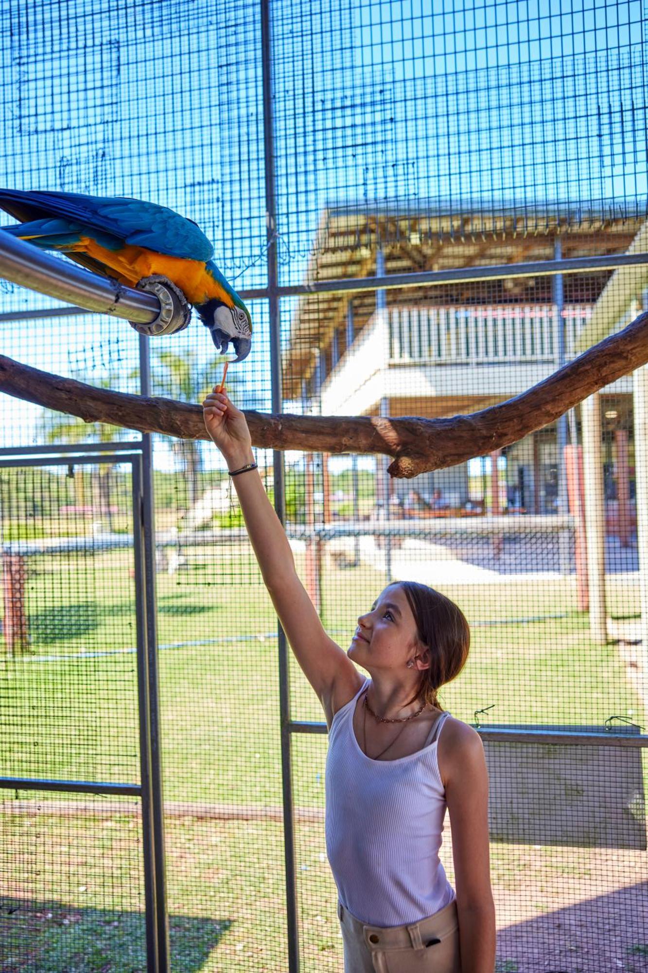Hotel Kur-Cow Farm Escape 35 Minutes From Cairns Kuranda Exterior foto